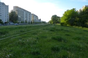 Spotkanie z mieszkańcami ul. Polaka, 25.05.2017