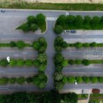 Parkingi czy drzewa